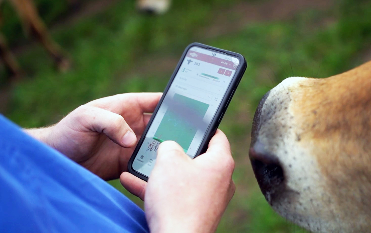 Brady Croft with CowManager system on his phone
